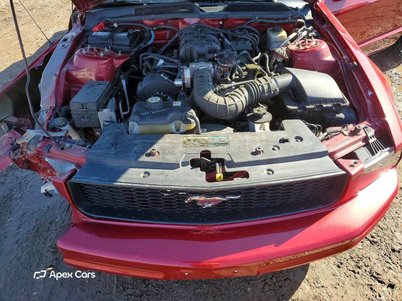 Ford Mustang 2005