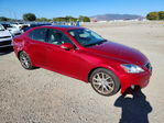 Lexus IS 2012