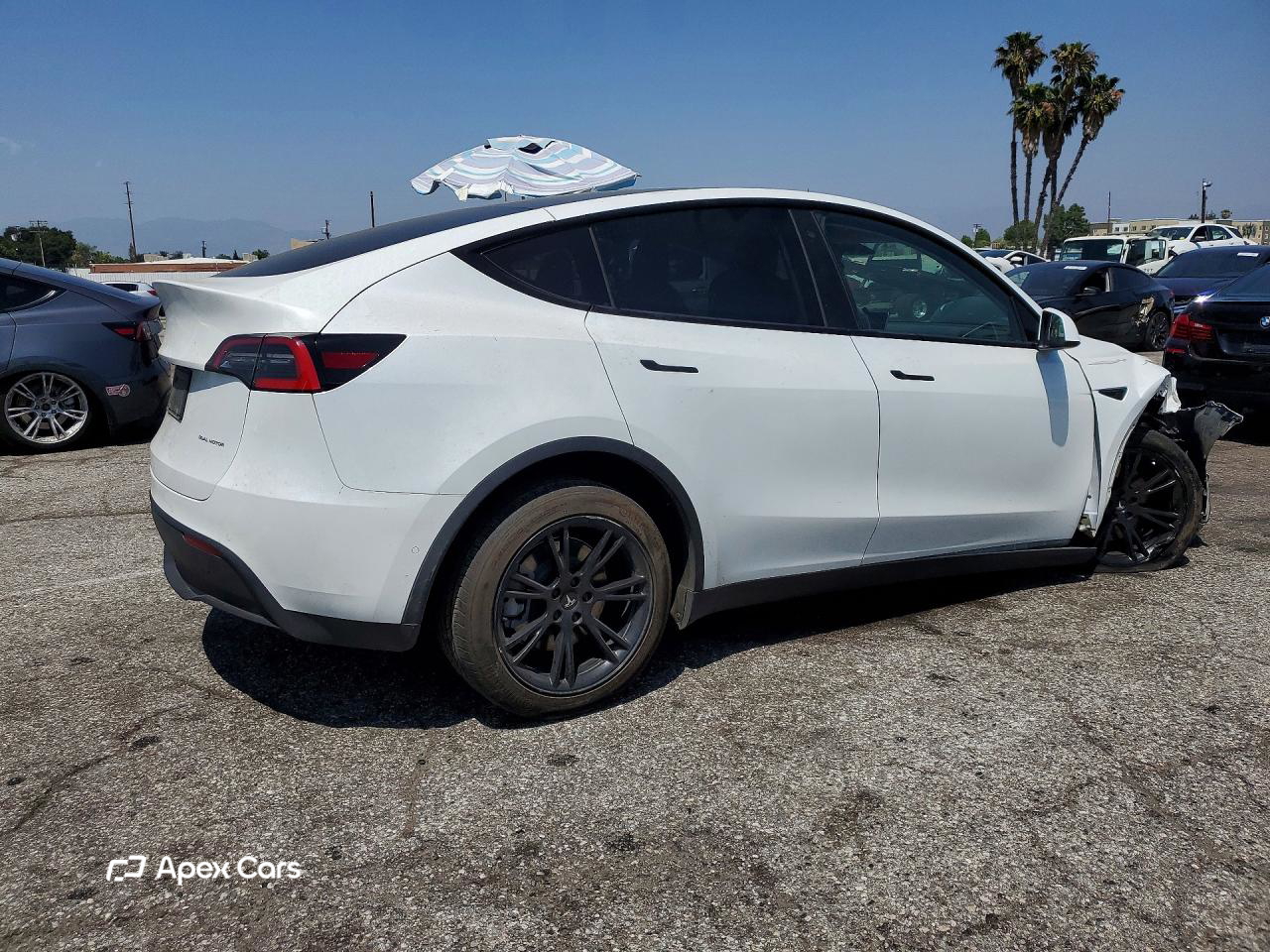 Tesla Model Y 2020