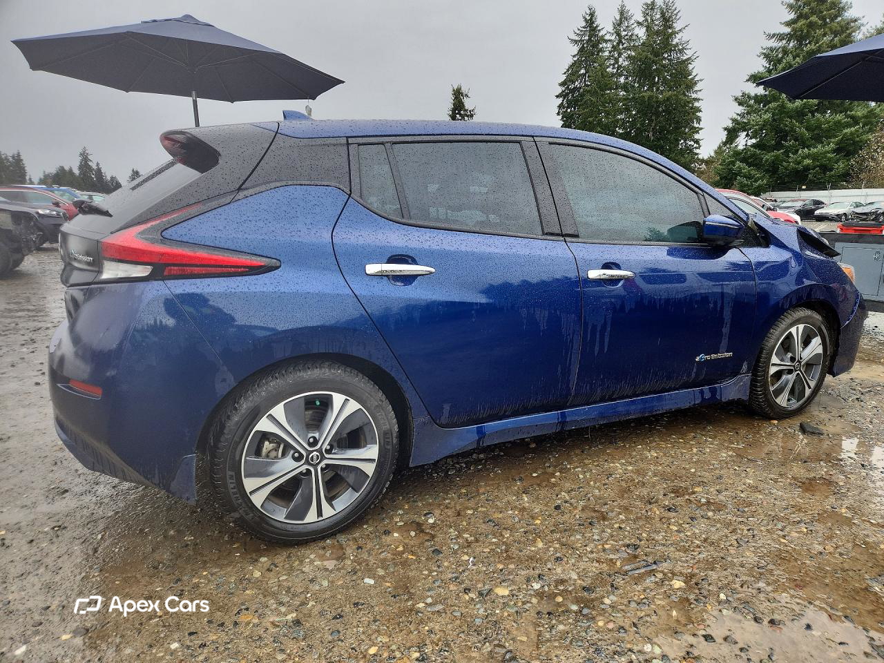 Nissan Leaf 2018