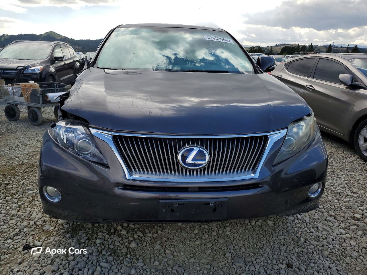 Lexus RX 2010