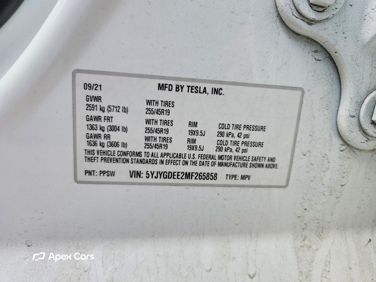 Tesla Model Y 2021
