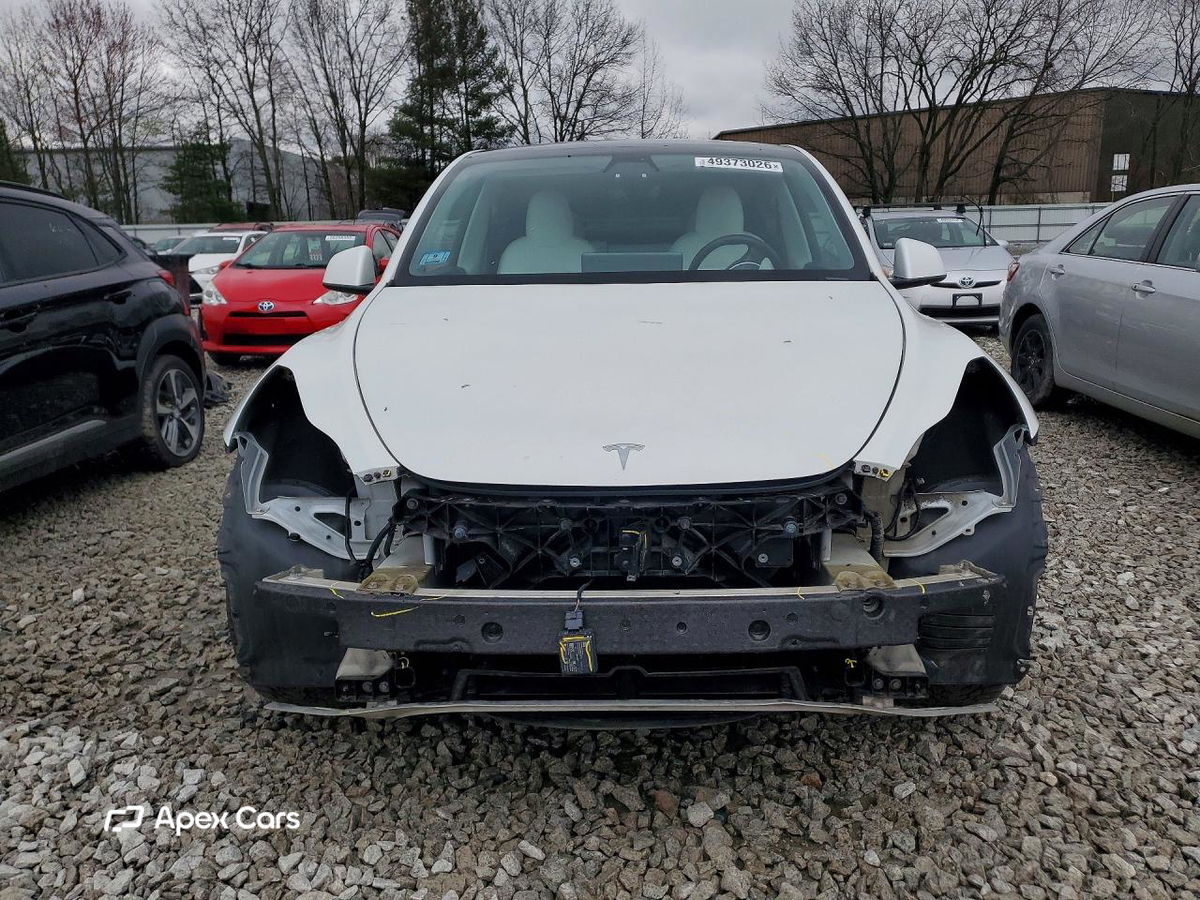 Tesla Model Y 2020