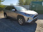 Toyota RAV 4 2021