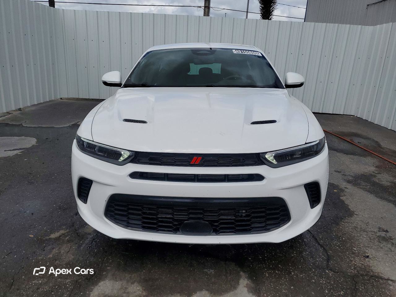 Dodge Hornet 2024