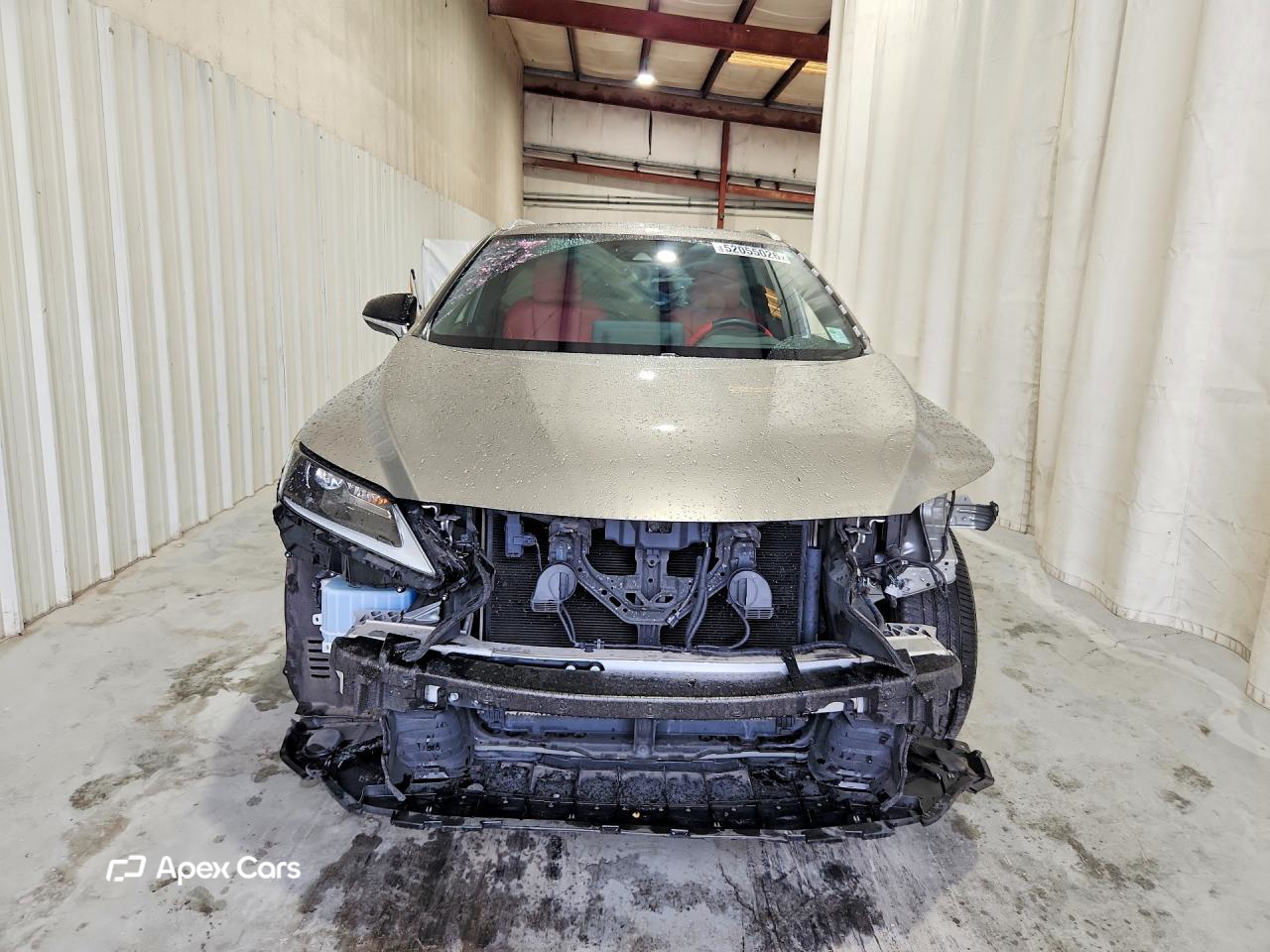 Lexus RX 2020