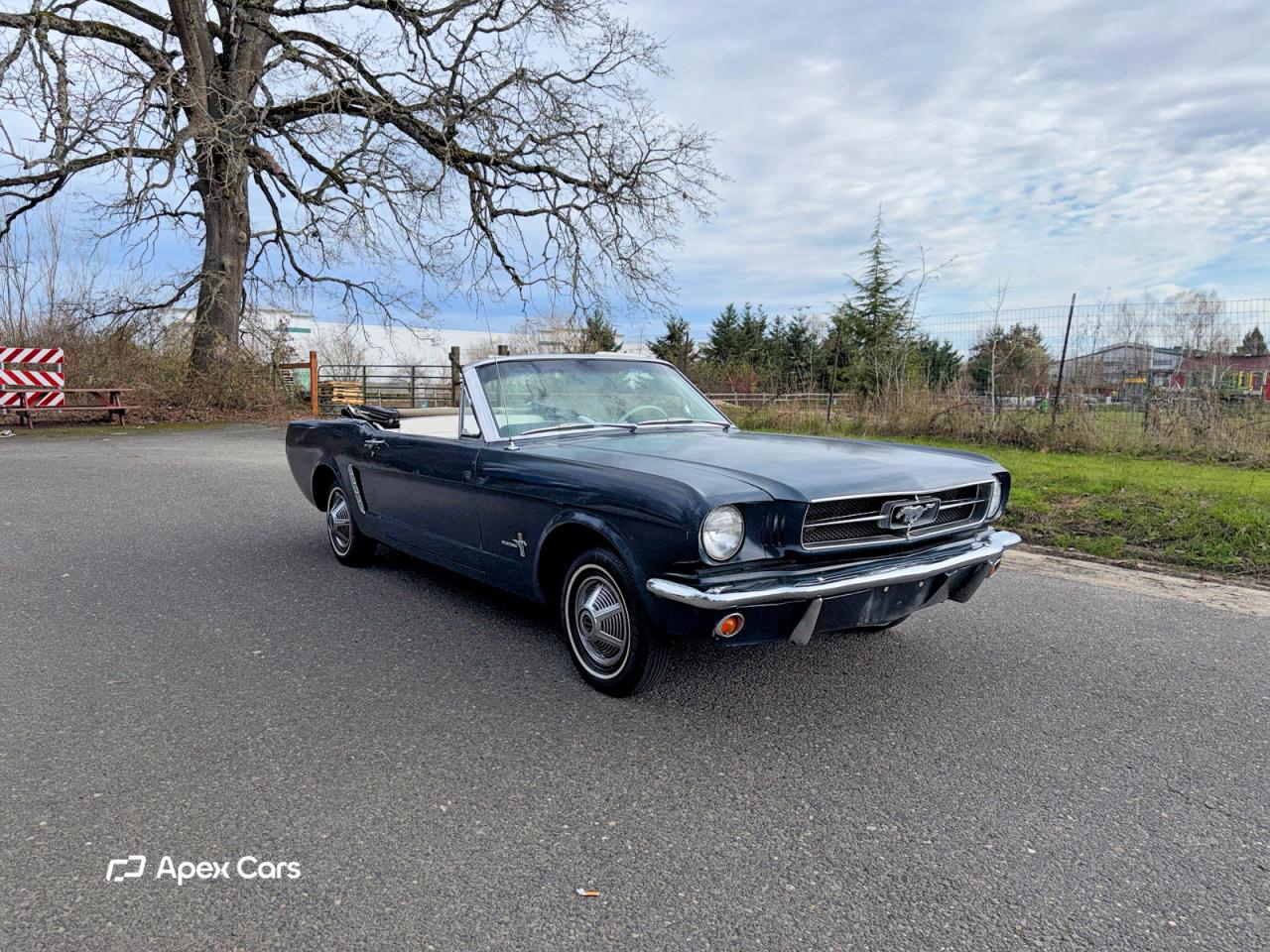 Ford Mustang 1965