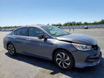 Honda Accord 2017