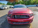 Ford Mustang 2014