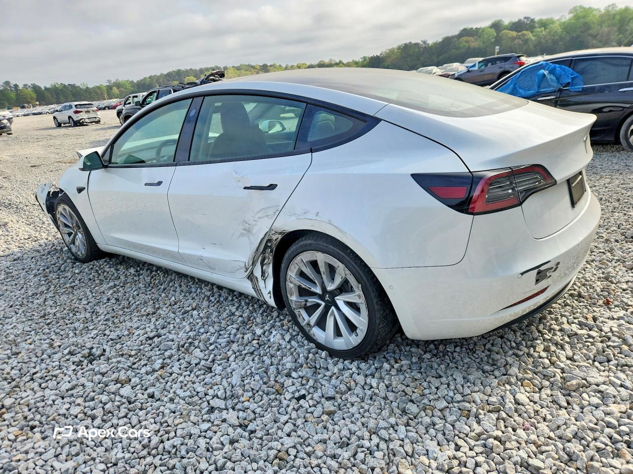 Tesla Model 3 2022