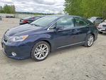 Lexus HS 2010