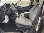 Ford Escape 2020