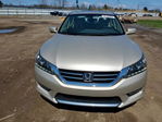 Honda Accord 2013