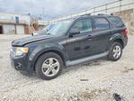 Ford Escape 2011