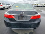 Honda Accord 2013