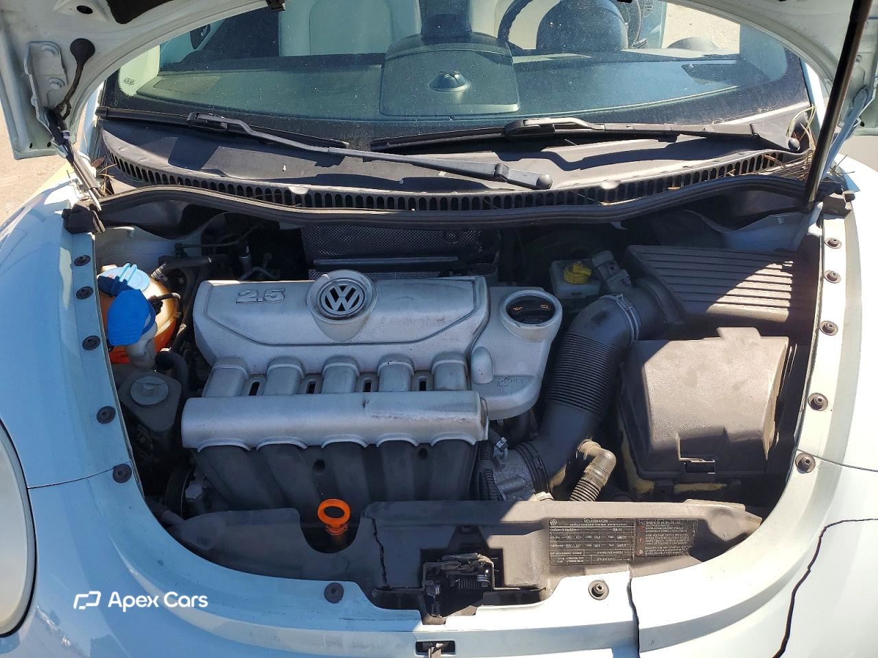 Volkswagen Beetle 2010