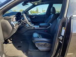Audi Q8 2019