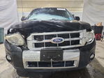 Ford Escape 2011