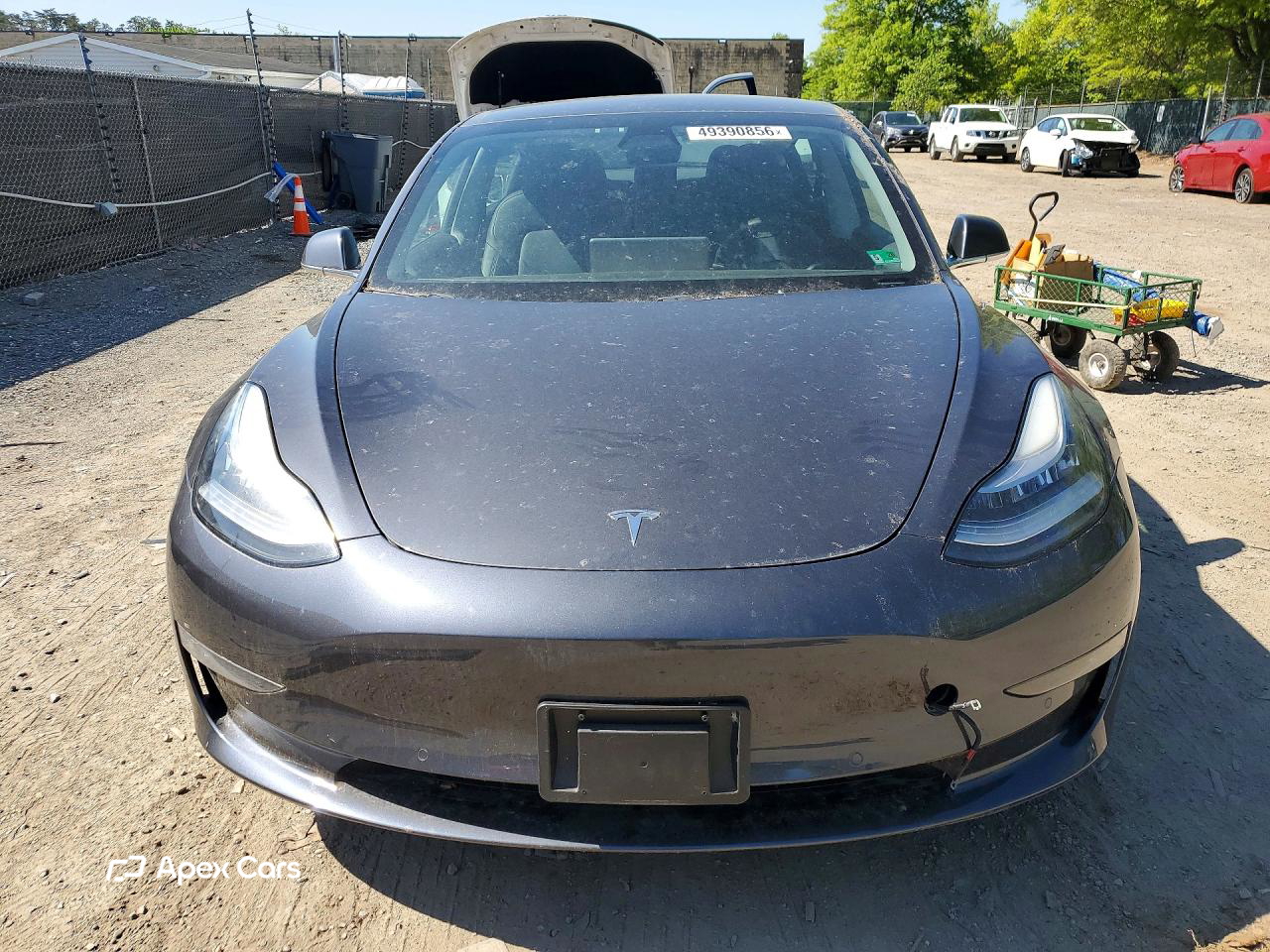 Tesla Model 3 2019