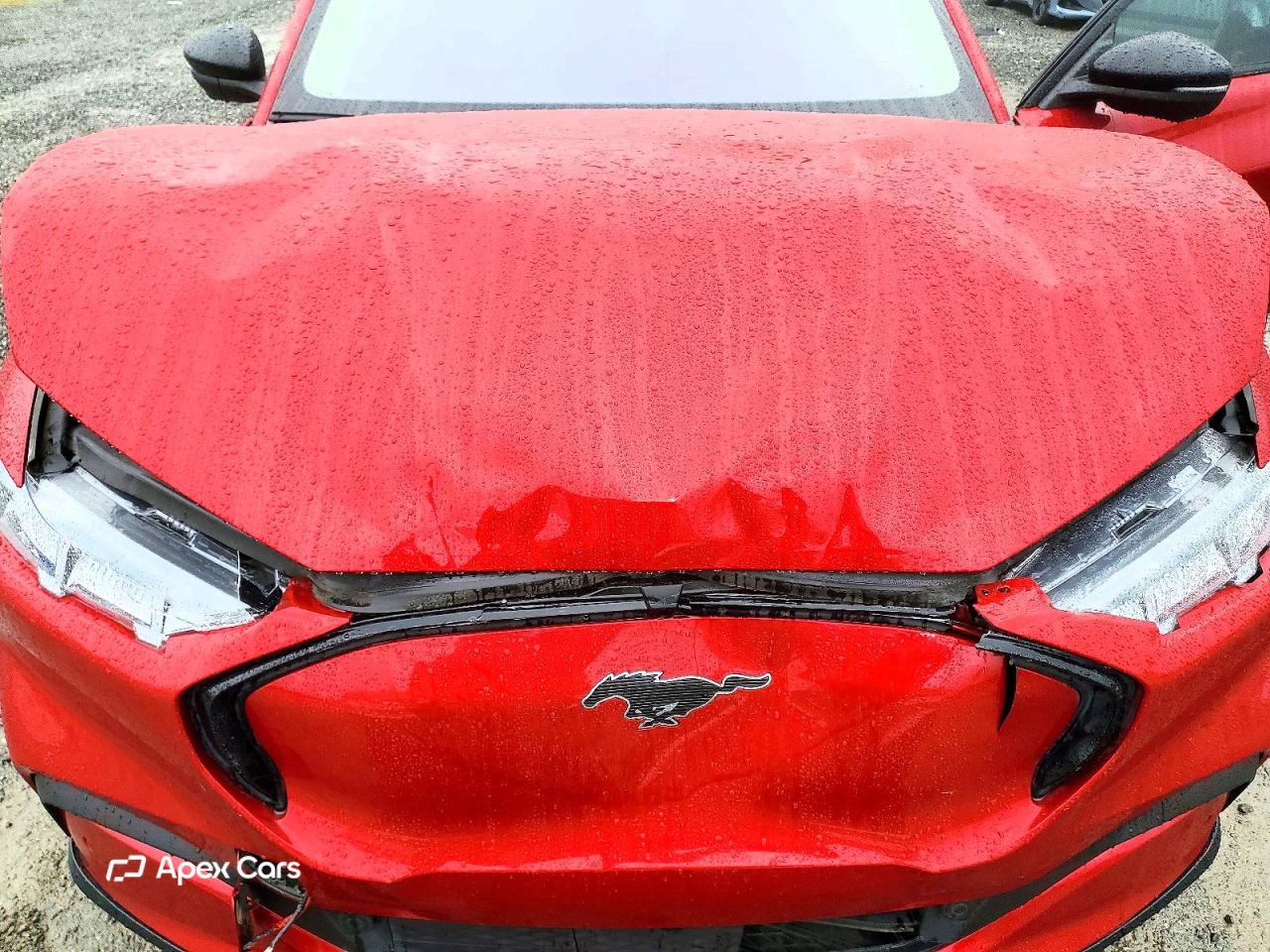 Ford Mustang 2022