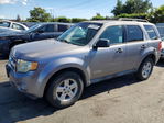 Ford Escape 2008