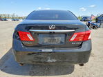 Lexus ES 2009