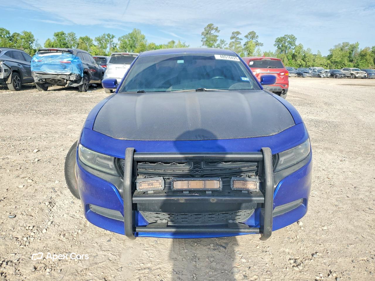 Dodge Charger 2019