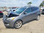 Ford Escape 2013