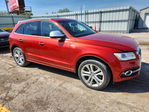 Audi SQ5 2015