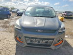 Ford Escape 2013