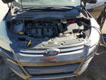 Ford Escape 2015