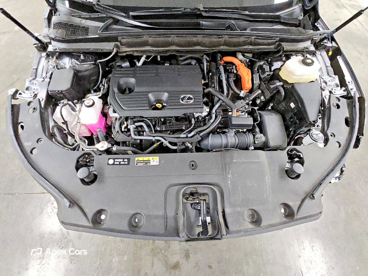 Lexus RX 2024