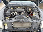 Dodge Dakota 2005