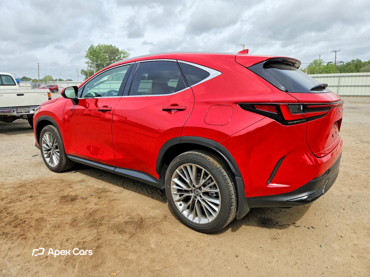 Lexus NX 2025