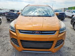 Ford Escape 2016