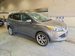 Ford Escape 2013