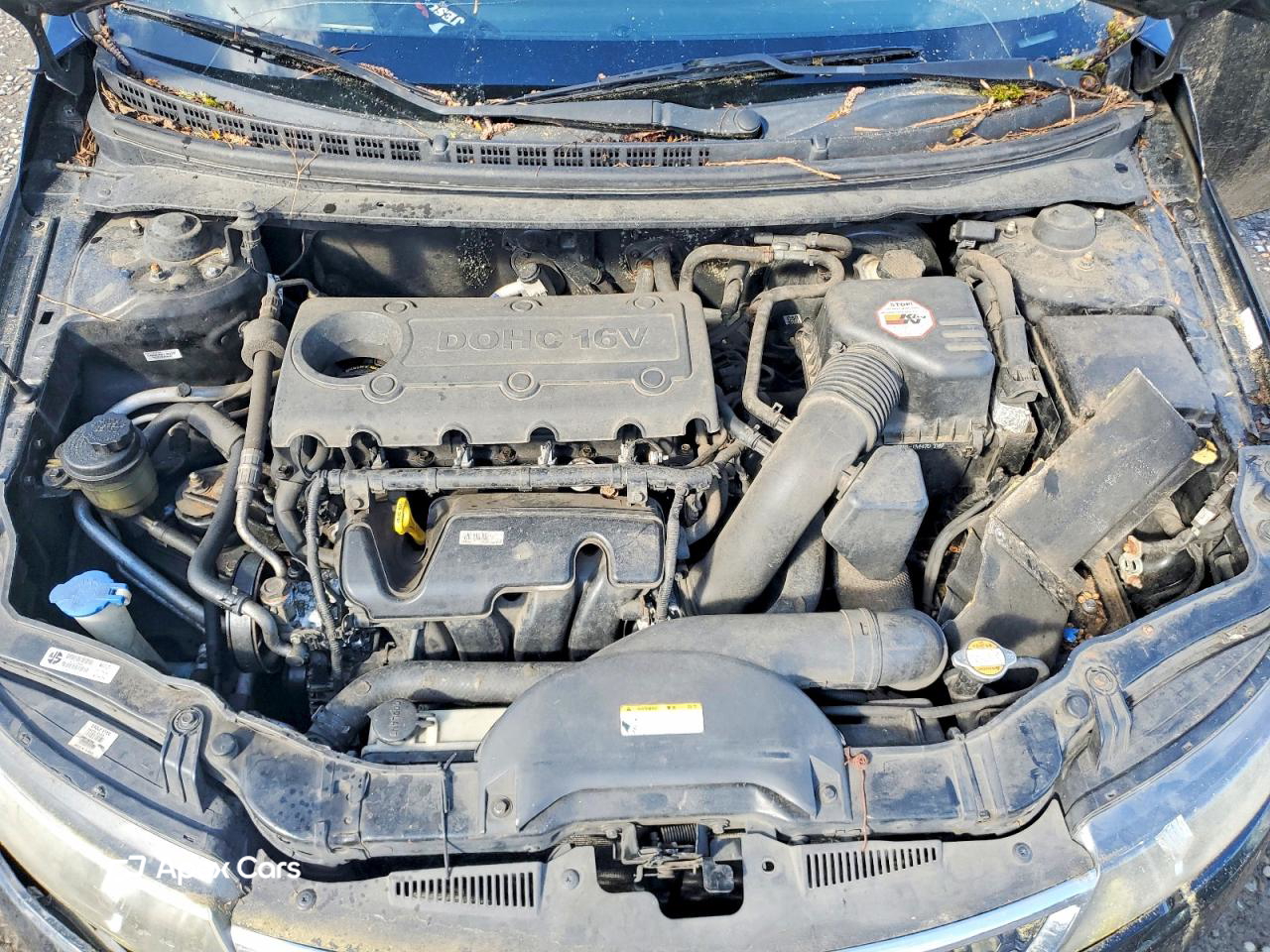 Kia Forte 2011