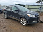 Ford Escape 2015