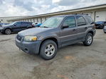 Ford Escape 2005