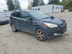 Ford Escape 2014