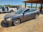 Nissan Maxima 2010