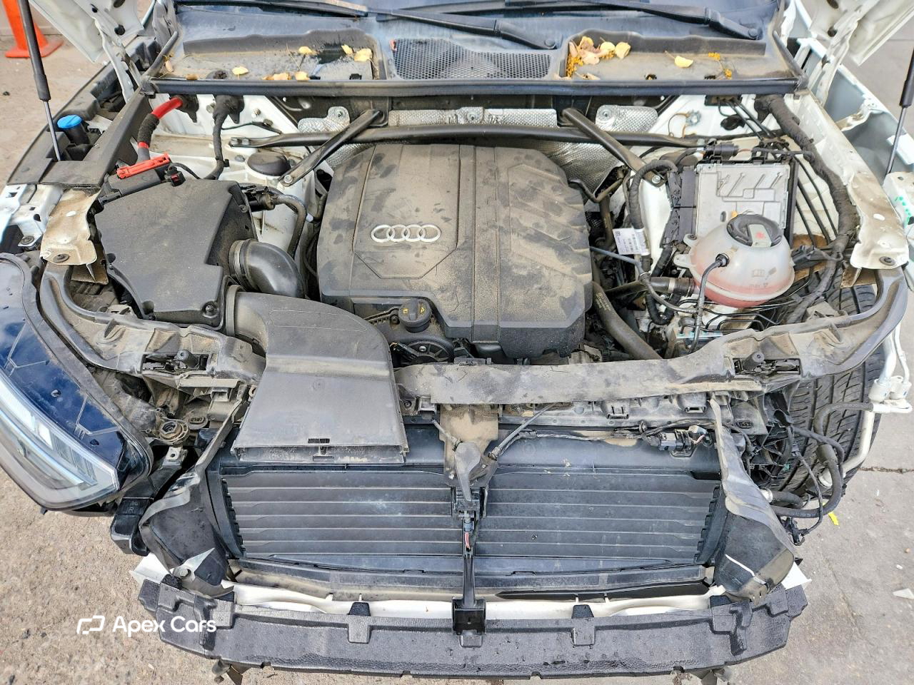 Audi Q5 2022
