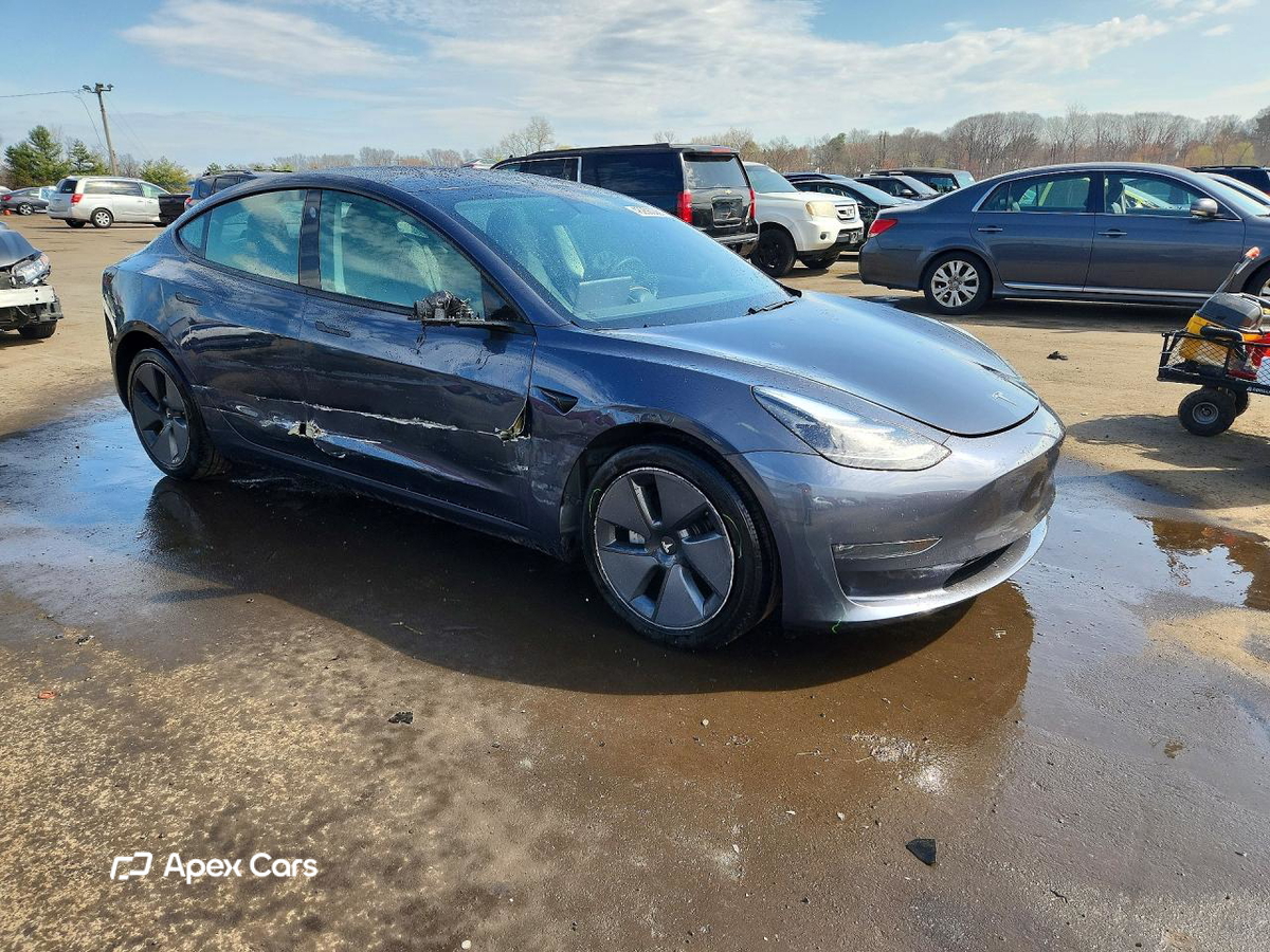 Tesla Model 3 2021