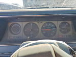 Datsun  1982