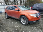 Ford Edge 2007