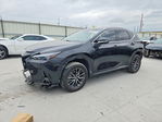 Lexus NX 2023
