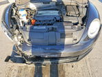 Volkswagen Beetle 2013