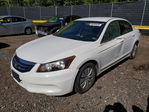 Honda Accord 2011