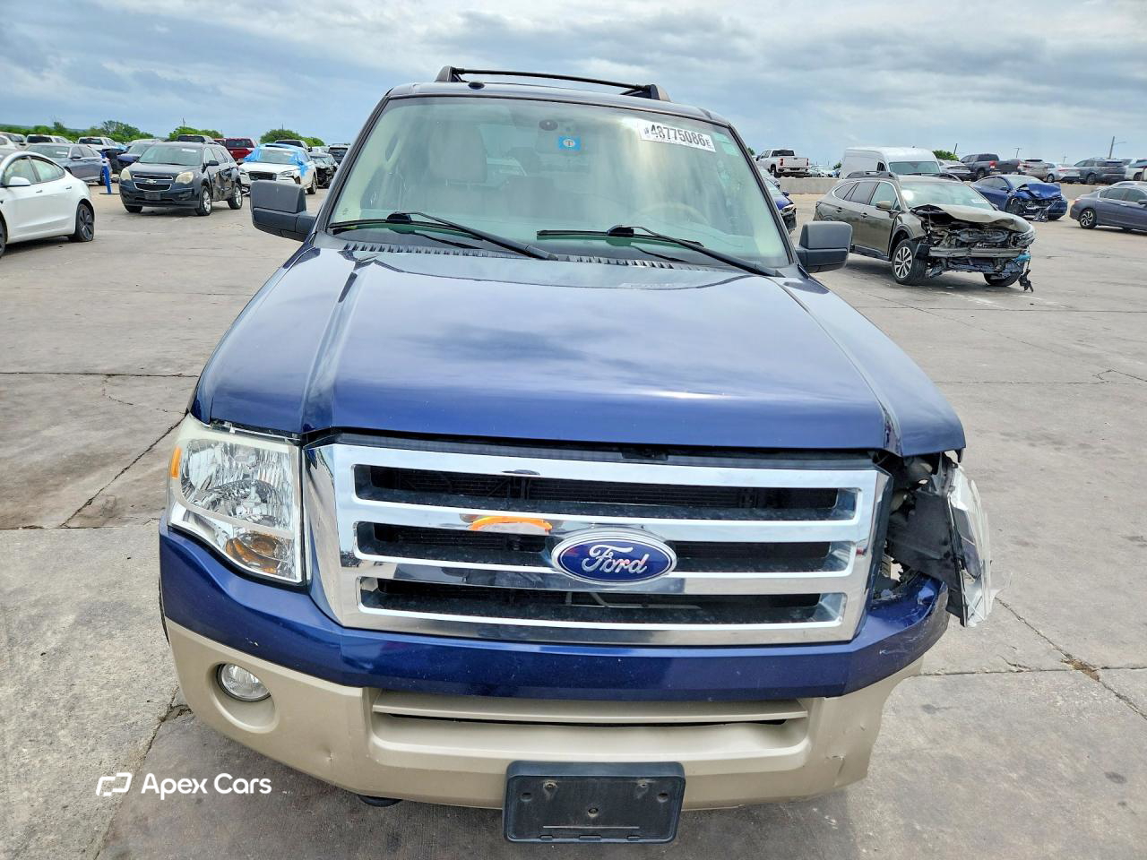 Ford Expedition 2010