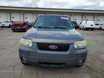 Ford Escape 2005